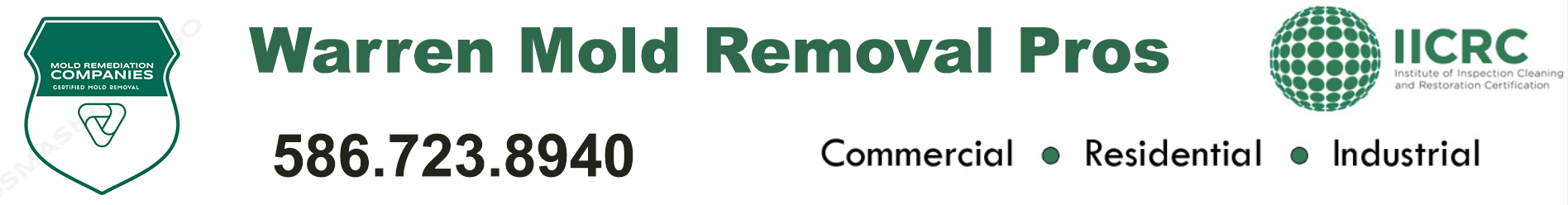 Warren Mold Removal Pros