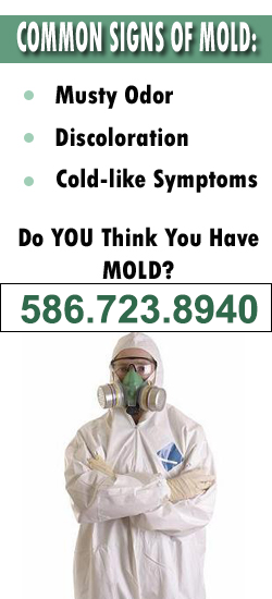 Warren Mold Remediation Contractor